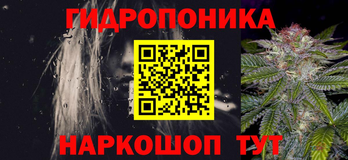 Конопля план Тосно